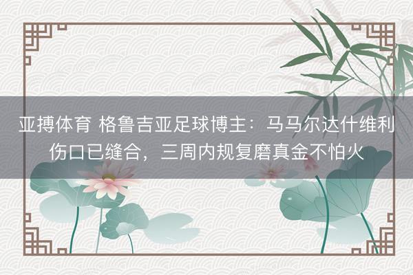 亚搏体育 格鲁吉亚足球博主：马马尔达什维利伤口已缝合，三周内规复磨真金不怕火