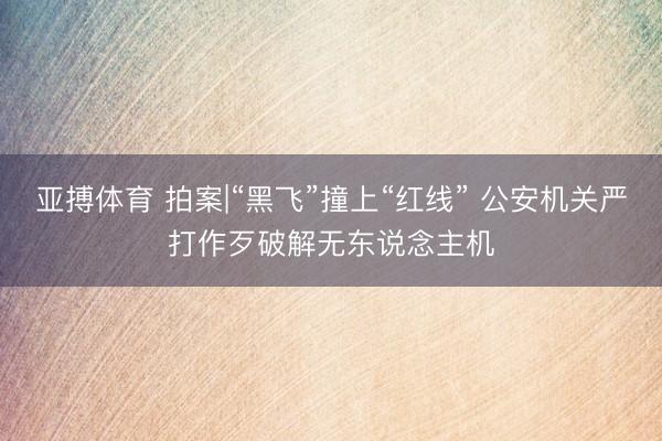 亚搏体育 拍案|“黑飞”撞上“红线” 公安机关严打作歹破解无东说念主机