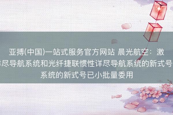 亚搏(中国)一站式服务官方网站 晨光航空:激光捷联惯性详尽导航系统和光纤捷联惯性详尽导航系统的新式号已小批量委用