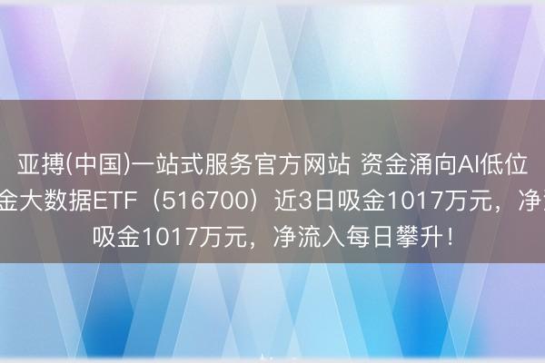 亚搏(中国)一站式服务官方网站 资金涌向AI低位标的？华宝基金大数据ETF（516700）近3日吸金1017万元，净流入每日攀升！