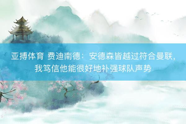 亚搏体育 费迪南德：安德森皆越过符合曼联，我笃信他能很好地补强球队声势