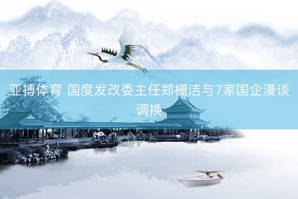 亚搏体育 国度发改委主任郑栅洁与7家国企漫谈调换