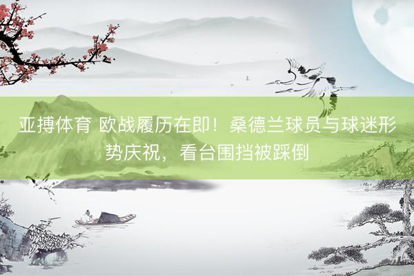 亚搏体育 欧战履历在即！桑德兰球员与球迷形势庆祝，看台围挡被