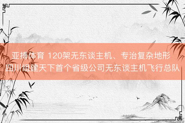 亚搏体育 120架无东谈主机、专治复杂地形 四川组建天下首个省级公司无东谈主机飞行总队