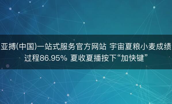 亚搏(中国)一站式服务官方网站 宇宙夏粮小麦成绩过程86.95% 夏收夏播按下“加快键”