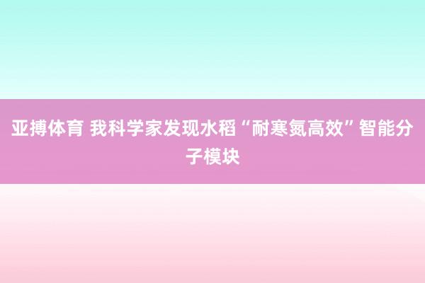 亚搏体育 我科学家发现水稻“耐寒氮高效”智能分子模块