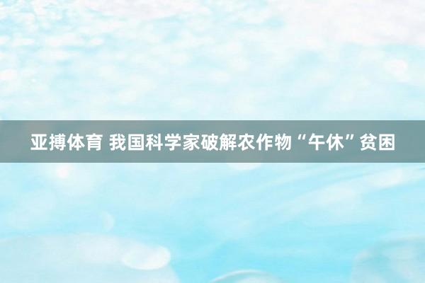 亚搏体育 我国科学家破解农作物“午休”贫困